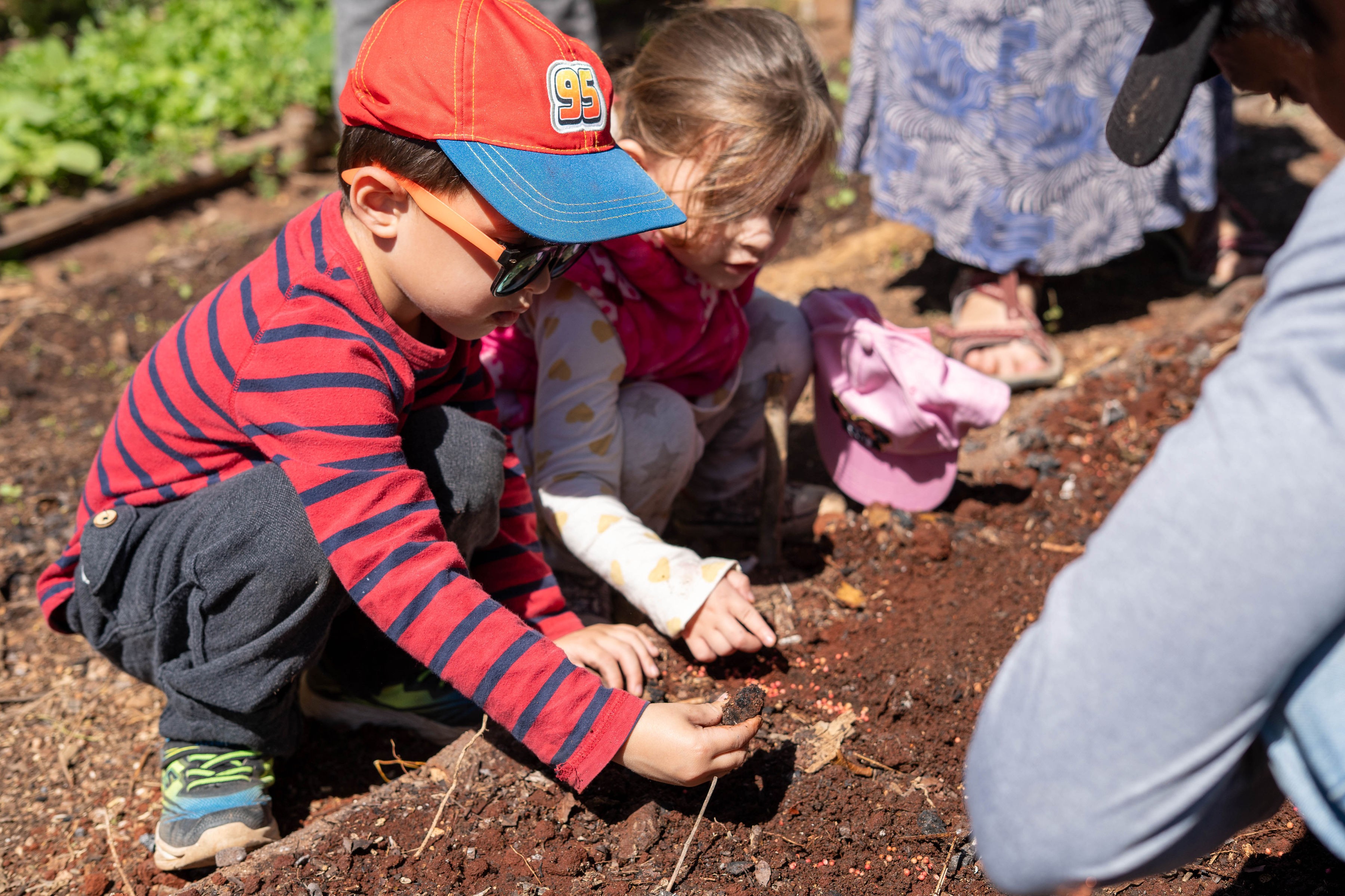 Comunidad educativa